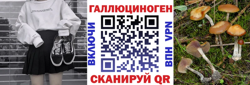 hydra онион Красный Кут shop телеграм цены наркотик Галлюциногенные грибы Psilocybine cubensis